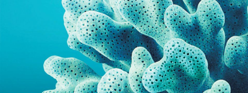 software-tile-tosca-960x360.jpg software-tile-tosca-960x360.jpg